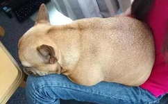 欧亚精品卡一卡二卡三737